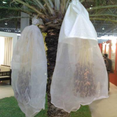 China Best Price Durable Date Palm Tarpaulin Mesh Bags For Screening for sale