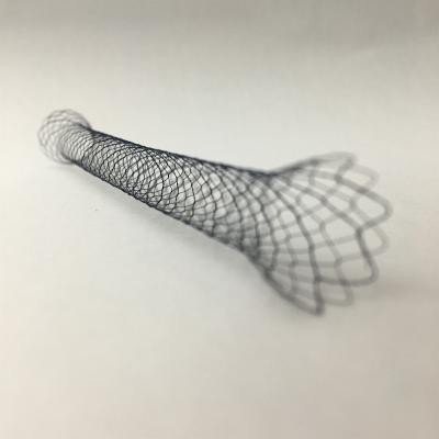 Китай Силикон не васкулярного Stent Nitinol PTCD Biliary полный предусматриванный со средством доставки продается