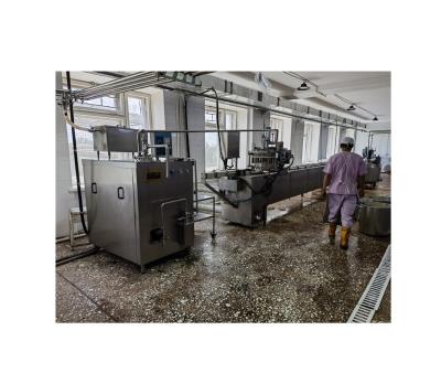 Cina SUS316L/SUS304 professionale per aziende agricole Macchine per la lavorazione dei bastoncini di gelato per aziende agricole in vendita