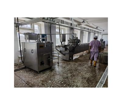 China Automatic Control Ice Cream Making Machine for Customizable Production Plant Solution for sale