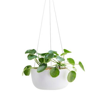 China Home Decoration Raw Earth Garden Decoration Ceramic Hanging Flower Pot With Stainless Steel Hanging System For Home Decor for sale