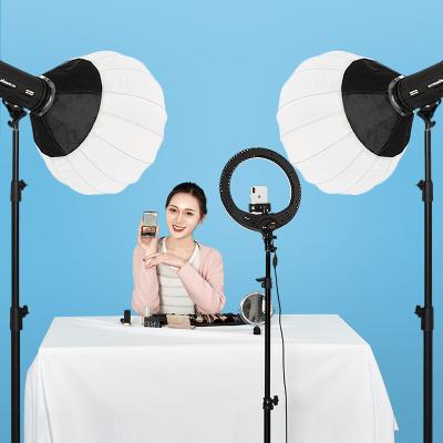 China 150W 5600K White Bowens Mount LED Video Fill Light with Remote Control for Studio Photo Video Photography AK-150W for sale