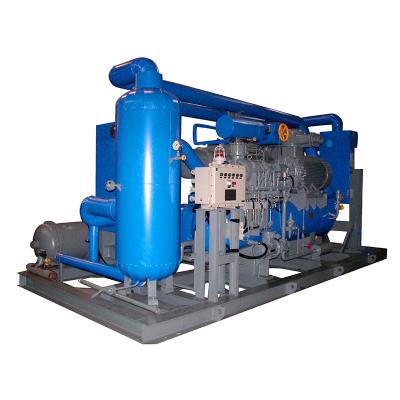 중국 KERUI Ordinary Screw Compressor Unit Natural Gas Air Sulfur Dioxide Skid Mounted 판매용