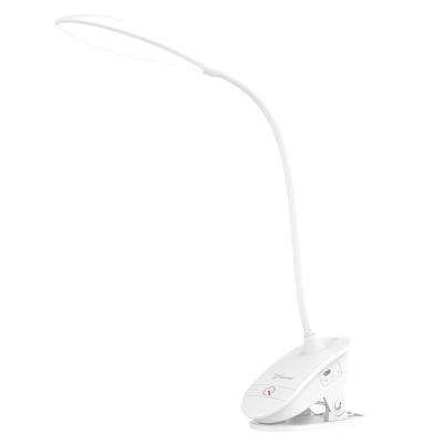 China Modern Desk Lamp Eye Protection Study Office College Student Dormitory USB Rechargeable Led Strip Reading Light for sale