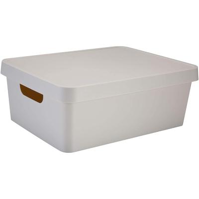 China Household Sustainable Container PP Plastic Small Capacity Basket Box Storage Box Clothes Storage Box for sale