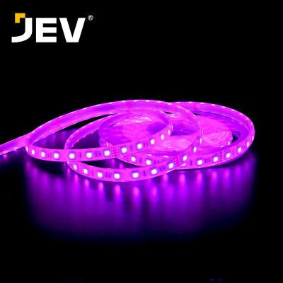 China Led Strip Light Luces Led Tiras Perfil Luz Magic Smart RGB 12v 24v Flexible De Cinta Ip68 Sdm5050 Theme Park Waterproof Silicone Extrusion for sale