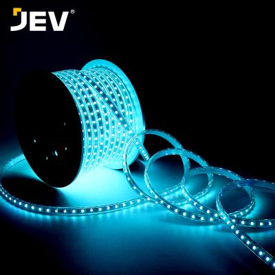 China Theme Park 110v 220vv 100m 96p 12mm RGB Smd 5050 Colorful Waterproof High Voltage Led Strip Light for sale