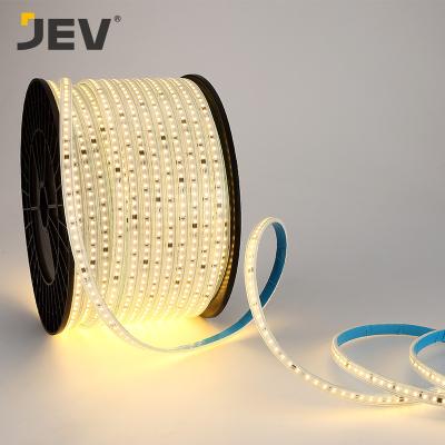 China Free Outdoor Decoracion Flexible Waterproof 2835 RGB Led Snake Driver Theme Park Strip Lights Outdoor Decoracion Lights PVC Coating Led Strip Light For Hotel for sale