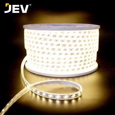 China 200v theme park CUT IP68 100LED 5730 FLEXIBLE strip lights 4000K led strip rope light TV backlight for sale