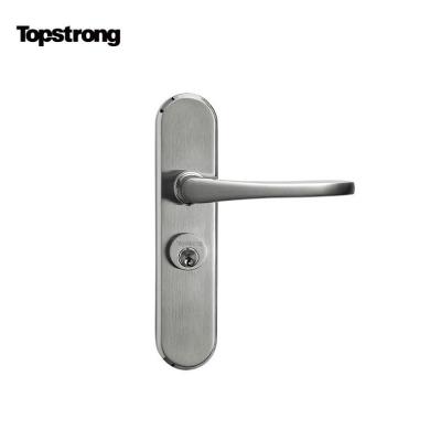 China Agate Zinc Alloy Gray Door Lock Fire Safety Zinc Alloy Elegant Style Materials for sale