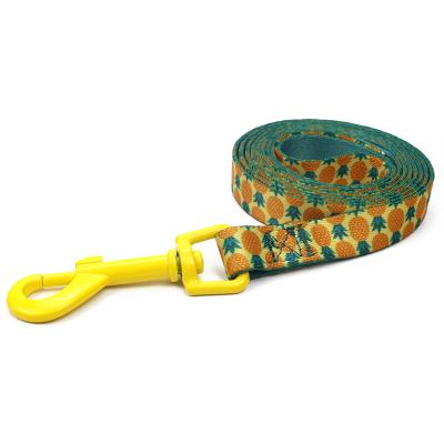 China Personalized Eco-Friendly Polyester Dog Collar Pet Leash Harness Pet Accessories Leash for sale