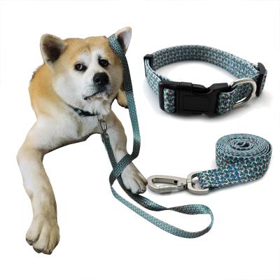 China Custom Designer DETACHED Inspired Pet Collar Pattern Dog Collar Leash and Leash for sale