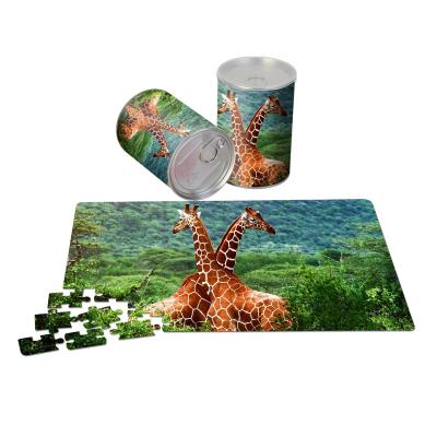 China Magic Box Packing Hot Sale Animal Puzzles Custom Puzzles For Children's Day for sale