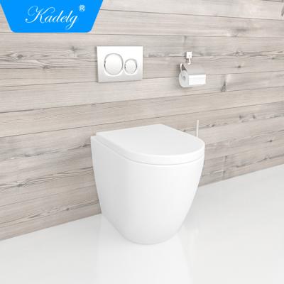 China Ceramic Concealed Cistern Back To Wall Matt White Toilet Bowl With Bidet for sale