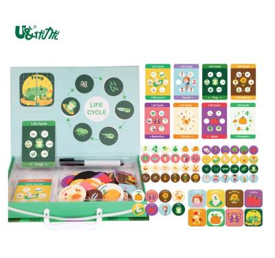 China Not only for learning but also for a drawing board. UCMD Cognitive Life Cycle Early Educational Toys 8 Magnetic DIY Play Tools Educational Toys for sale