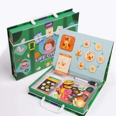 China The drawing board can support early childhood education painting toys life cycles puzzle children educational toys for sale