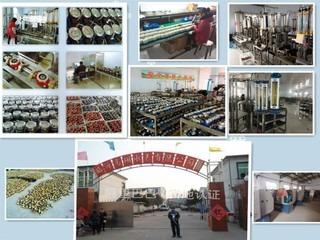 Geverifieerde leverancier in China: - Gaoxiang Water Meter Co., Ltd.