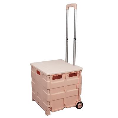 China Folding Customize Luggage 2022 Folding Plastic Rolling Shopping Cart Trolley Rolled Shopping Cart Plastic for sale