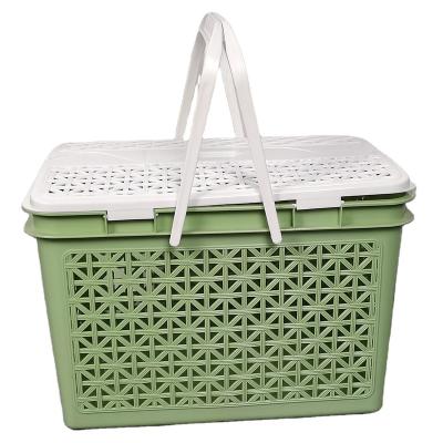 China Sustainable Plant Portable Basket Bathing Fruit Vegetable Storage Basket Plastic Coring Basket Clearing for sale