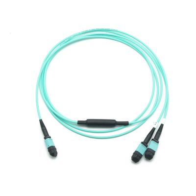 China Data Center Standard Loss 24F MPO(F) to 2x12F MPO(F) Patch Cord Type 50/125um OM3 LSZH A Aqua MPO Trunk Cable for sale