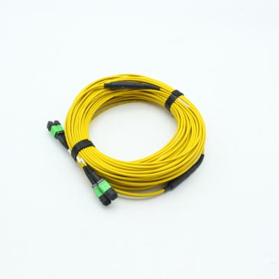 China Hot Selling Data Center Amazon Customization Logo 24F MPO SM To MPO Trunk Cable Fiber Optic Patch Cord for sale