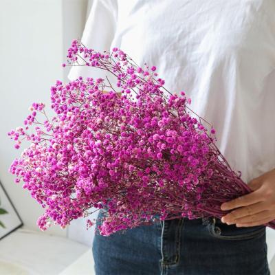 China Environment Friendly & Decor Fashionable Competitive Price Vase Plants Immortal Breath of Dry Preserved Gypsophila Baby of Flowers Wall Wedding Decor for sale