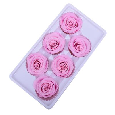 China High Quality Pink Preserved Flowers Celebration Wedding Decor 5-6cm Everlasting Preserved Rose Heads Real for sale