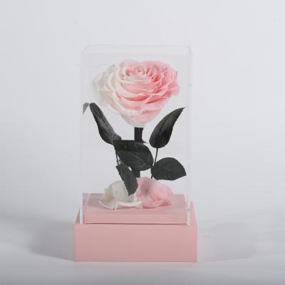 China Wedding Party Event Decoration 2021 Valentine Gift Amazon Forever Eternal New Long Lasting Preserved Flower In Acrylic Rose Box for sale