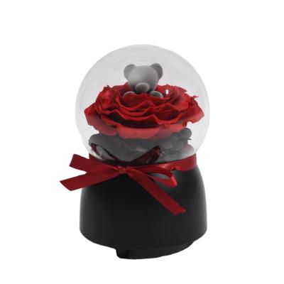 China Environment Friendly & Fashionable Christmas Items Gift Set Beautiful Preserved Rose By Gray Bear Eternal Long Lasting In Glass Dome for sale