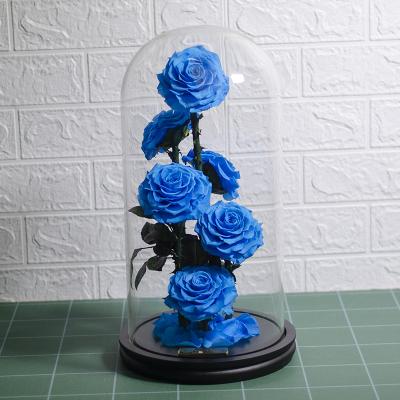 China Environment Friendly & Fashionable Beauty and the Beast Flower Rose Blue Flowers Beauty Gifts Sets Preserved Roses in Glass Dome for sale