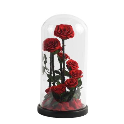 China fashionable & Environmentally Friendly Christmas Gift Hot Selling Immortal Eternal Preserved Fresh Flower Preserved Rose In Glass Dome for sale