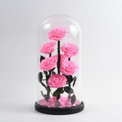 China fashionable & Immortal Infinity Logo Eternal Forever Customized Environmentally Friendly Stabilized Rose Flower Glass Dome Preserved Roses In for sale