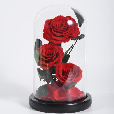 China fashionable & Flowers 2021 Environmental Friendly Grade A Grade Decorative Glass Preserved Roses For Decoration Events for sale