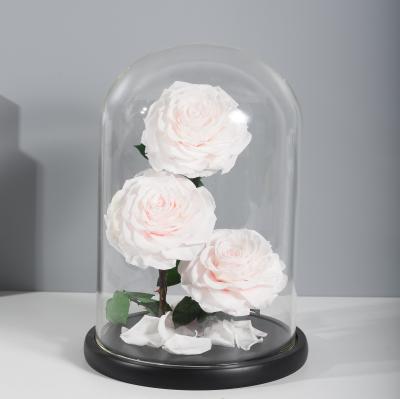 China fashionable & Flowers 2021 Grade A Environmental Friendly Decorative Glass Preserved Roses For Decoration Events Artificial Flowers for sale