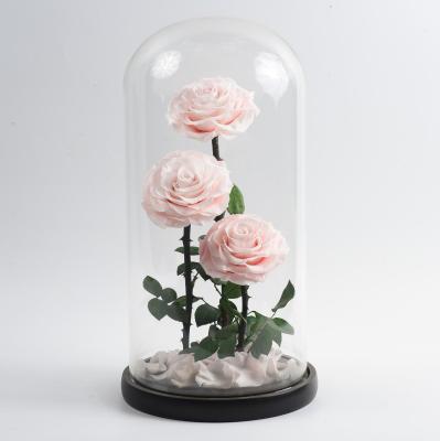 China Environment Friendly & Fashionable Beauty and the Beast Flower Real Rose Flower Decorative Preserved Red Eternal Rose in Glass Dome for sale