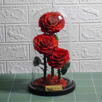 China Luxury Eternal Red Rose 3pcs Rose In Glass Dome For Forever Preserved Flower Wedding Party Decoration for sale