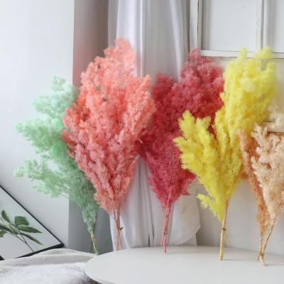 China Events Decoration High Quality Natural Dry Flower Arrangement Preserved Ming Fern For Home Decoration for sale