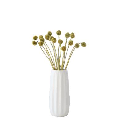 China Environment Friendly & Fashionable Preserved Craspedia Billy Ball Dryed Flower Billy Buttons Craspedia Ball for Home Wedding Decoration for sale