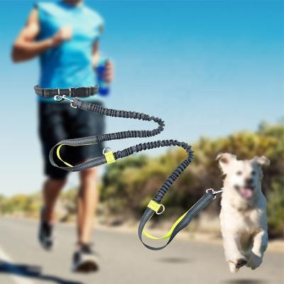 China FREE Outdoor Running Dog Nylon Retractable Hand Leashes 2m Long Leads With Reflective Chest Bungee for sale