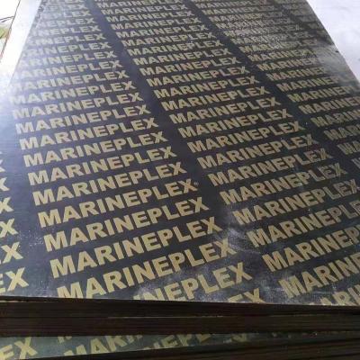 China 18mm Marine Grade Industrial Plywood for sale