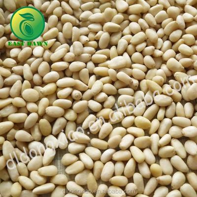 China Human consumption cedar pinenut bleached pinenut pinenut kernels for sale