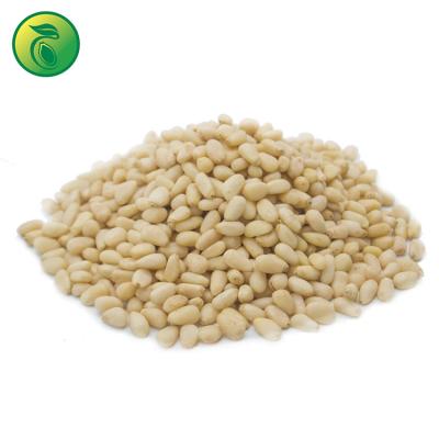 China Pakistan pine nuts price usa pine nuts food for sale