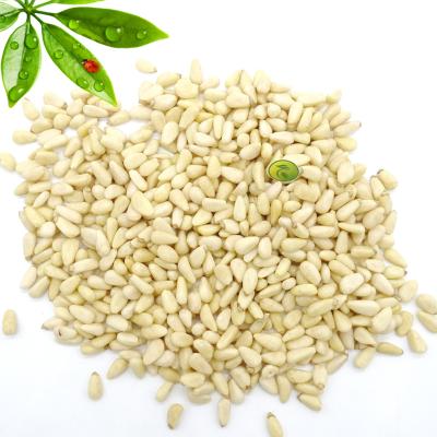 China Food pine nuts prices siberian pine nuts for sale new culture pine nuts importer in china for sale