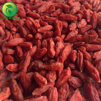 China Dried Chinese Organic Goji Berry Dried for sale