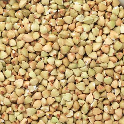 China Selling in bulk dried hulled raw buckwheat kernels for sale