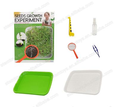 China Other Plant Seeds Growing Experiment Stem Toys Educational Plastic Science Toys For Children for sale