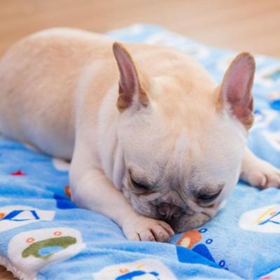 China Breathable Mat Pet Mattress Washable Soft Warm Plush Dog Bed Anti-Slip Hot Selling Mechanical Wash As Picture Flannel, Lambswool NC; EIB for sale