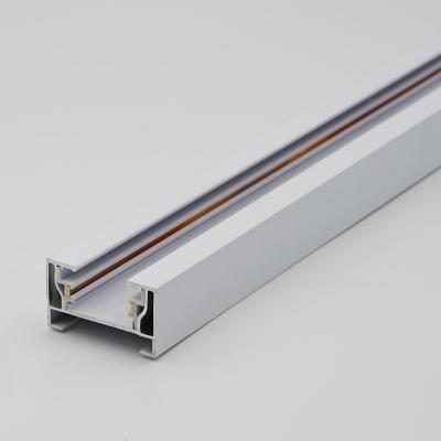 China Modern Aluminum 2 Wire 1 Phase Track Lighting LED Rail Track Bar For Shop Office Museum for sale