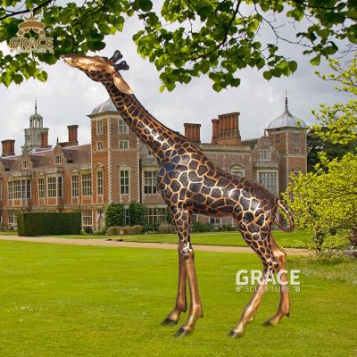 China Traditional Metal Sculpture Zoo Giraffe Life Size Bronze Statue for sale