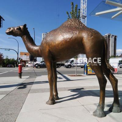 China Traditional Outdoor Decorative Metal Sculpture Life Size Camel Bronze Statue for sale